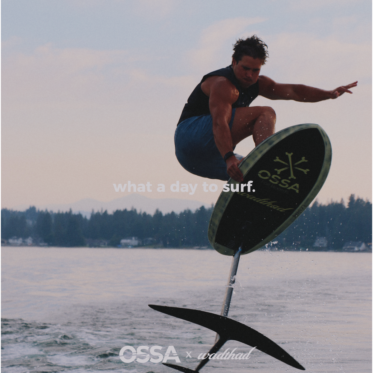 OSSA X WADTHAD